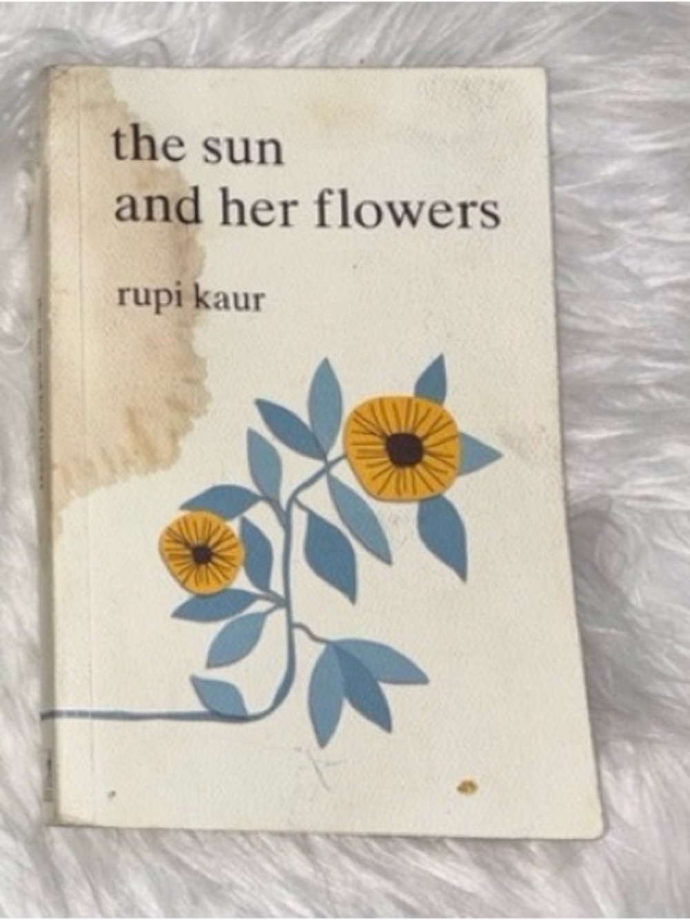 Rupi Kaur 'The Sun and Her Flowers' Floral Art Print - Blue & Yellow